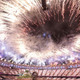 Illustration for article titled iThe 2012 Summer Olympics/i: August 2, 2012